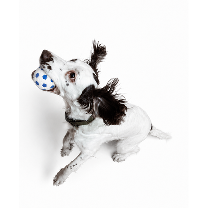 Indestructible Ball