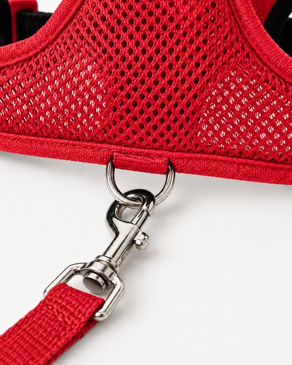 CosyPaw Harness & Lead Set