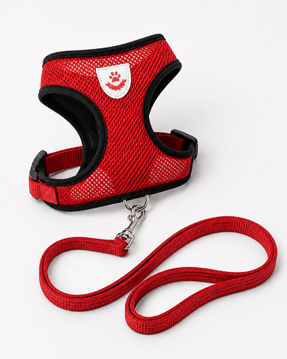 CosyPaw Harness & Lead Set