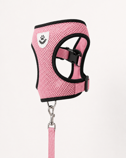 CosyPaw Harness & Lead Set