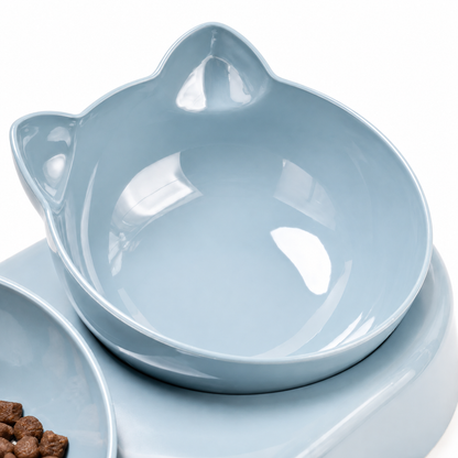 Orthopedic Pet Bowl Bundle