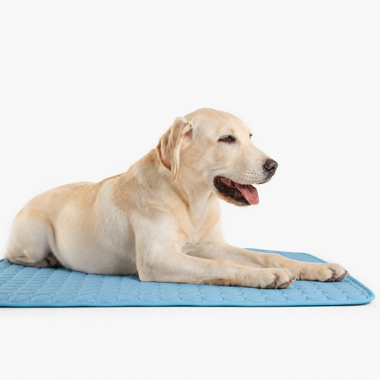 CosyPaw Cooling Mat