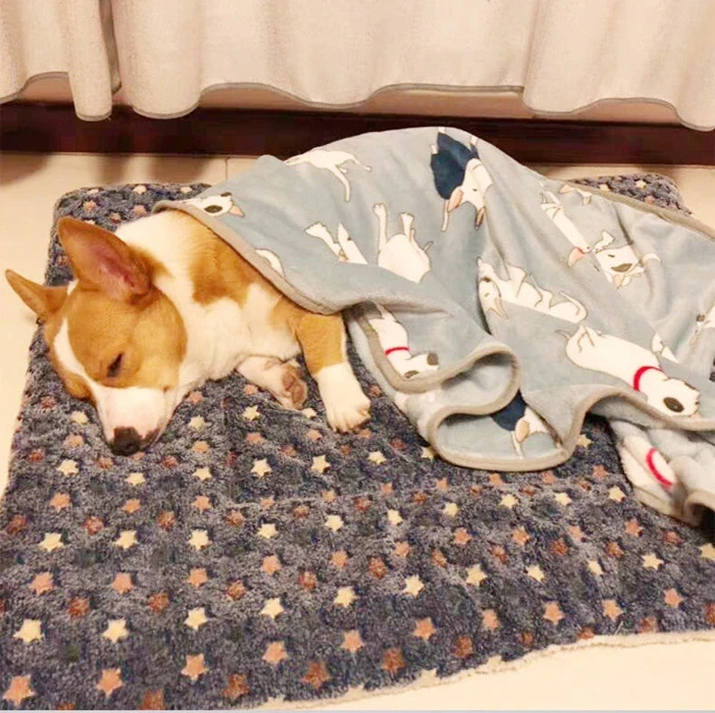Flannel Sleeping Mat